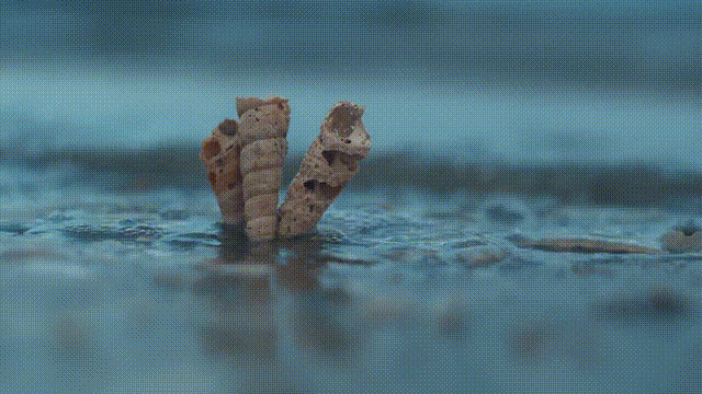 海中|中国这个美丽海滨！城在海中、海在城中，藏着绝妙生活却少有人知