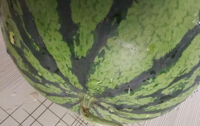  水果|这种西瓜千万不要买,水果店老板说漏了嘴,看完记得转达家里人