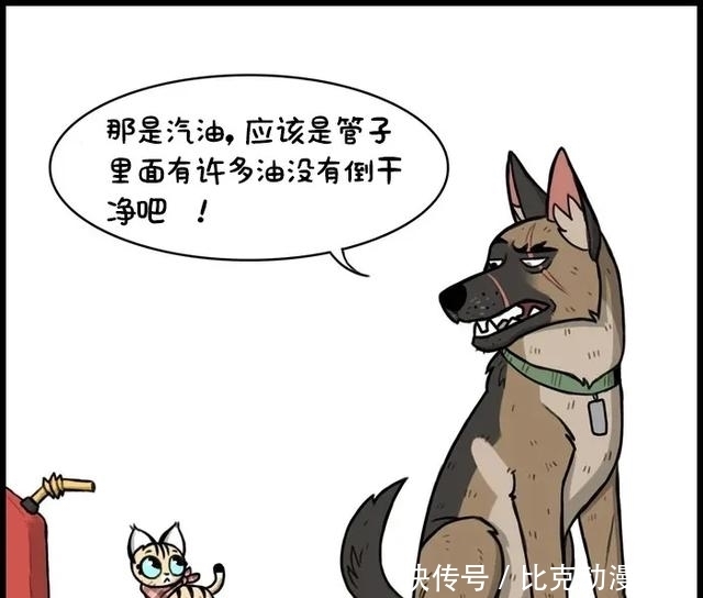  皮鞋|小皮鞋发现油罐漏了，想到了一个好办法（漫画）