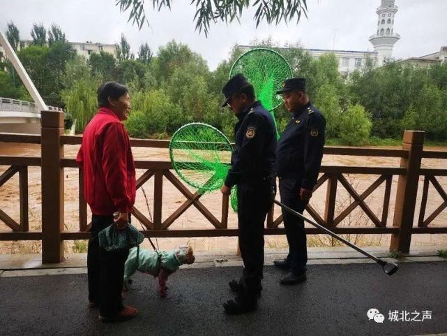 城北区|城北区：大力开展不文明养犬专项整治