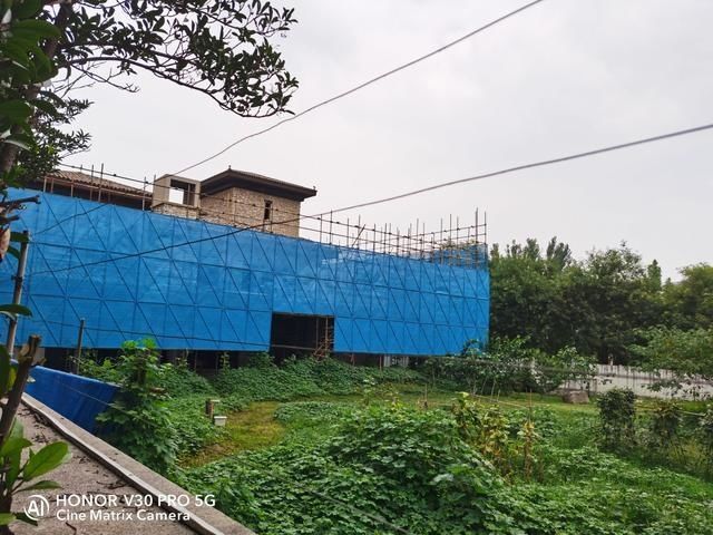  院子|公共绿地被圈占，一占就是8年多