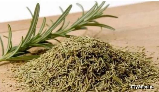  吃护|家里阳台种点“它”，是宝贝，驱蚊还能做菜，常吃护肝少感冒