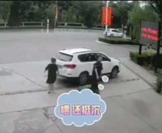  小可爱|这些小可爱是真实存在的吗？