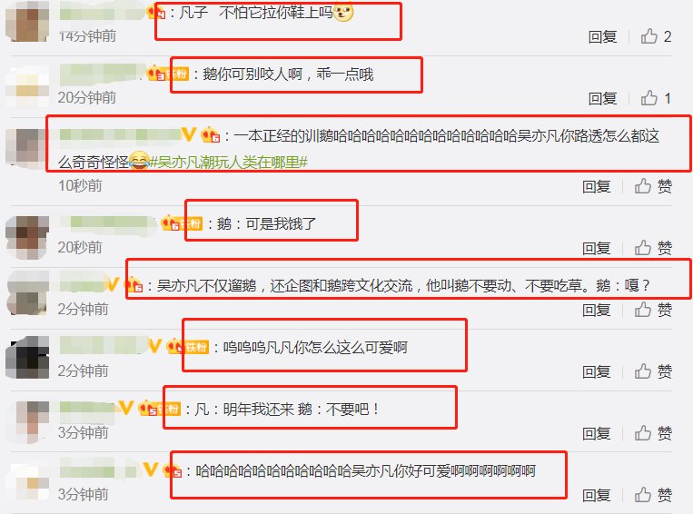  教导|《潮玩人类在哪里》路透，吴亦凡当街遛鹅，还教导鹅不要乱吃草