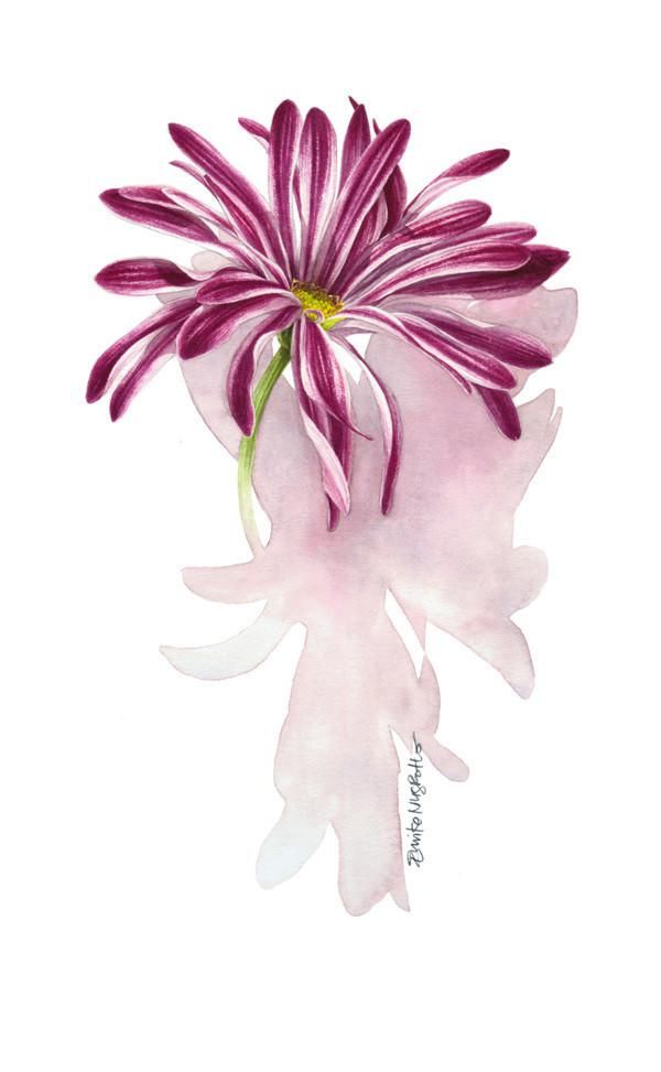  全职|一位全职妈妈喜欢疯狂画画，教你画水彩花卉