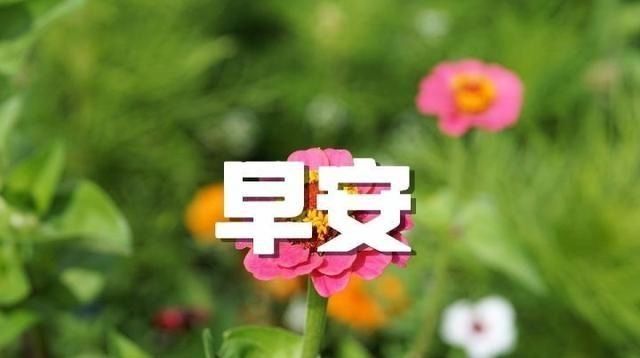 锦上添花|早安心语：少些锦上添花，多点雪中送炭