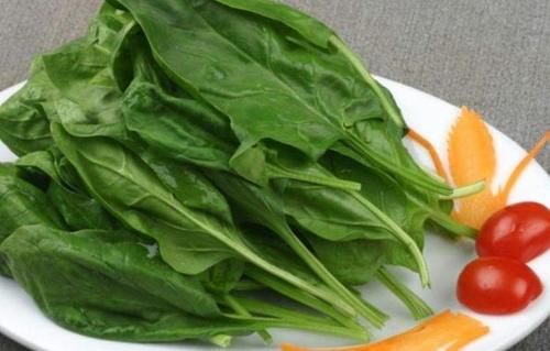  养胃|养胃的食品有哪些？