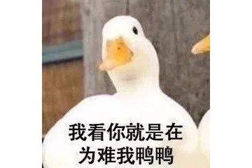 全家|全家抢着吃的低脂菜，香软又下饭！吃到撑也不胖！