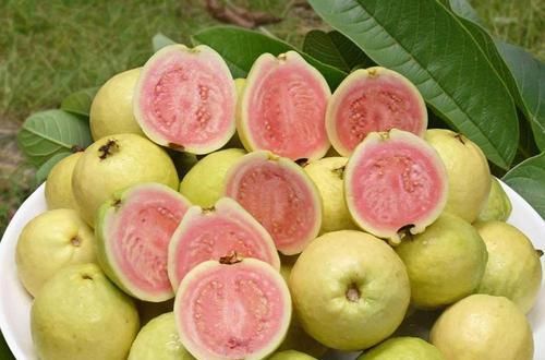  白送|维C是柑橘的8倍，以前白送都没人要，如今2元一个很抢手