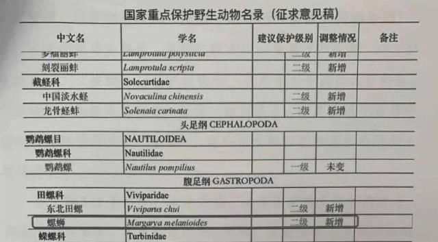  非法捕捞水产品罪|捕螺蛳构成犯罪？真事!