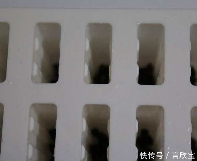 绿色|芒果青柠冰淇淋,简单的步骤,绿色健康,美味可口儿童最爱