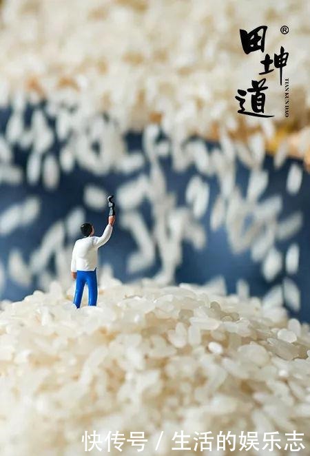 之家|田坤道生态之家米之诗