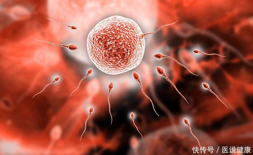 想知道“小蝌蚪”是否健康？有这7个标准，若你都符合说明不错！2023