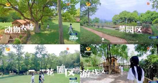  豪宅|郑爽新综艺被气哭？当看到综艺里的森林豪宅，我羡慕哭