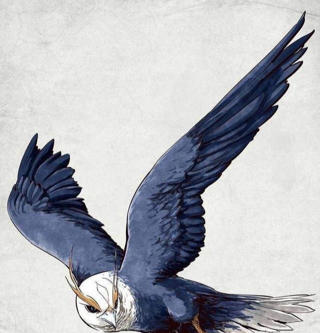  长生不老|《山海经》一本被神话耽误了的食谱