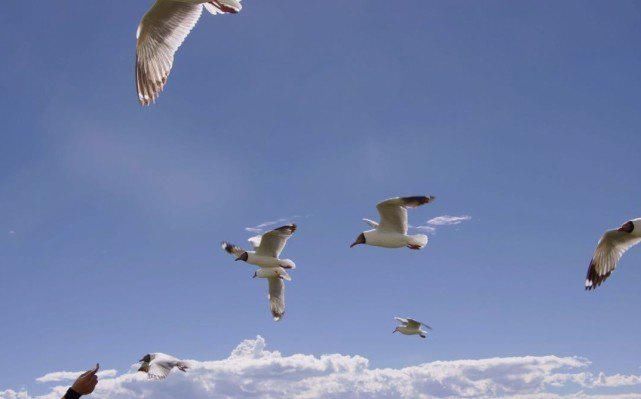 寸步难行|恒昌公司 | 以“征信”惩戒“失信” 600万“老赖”将寸步难行