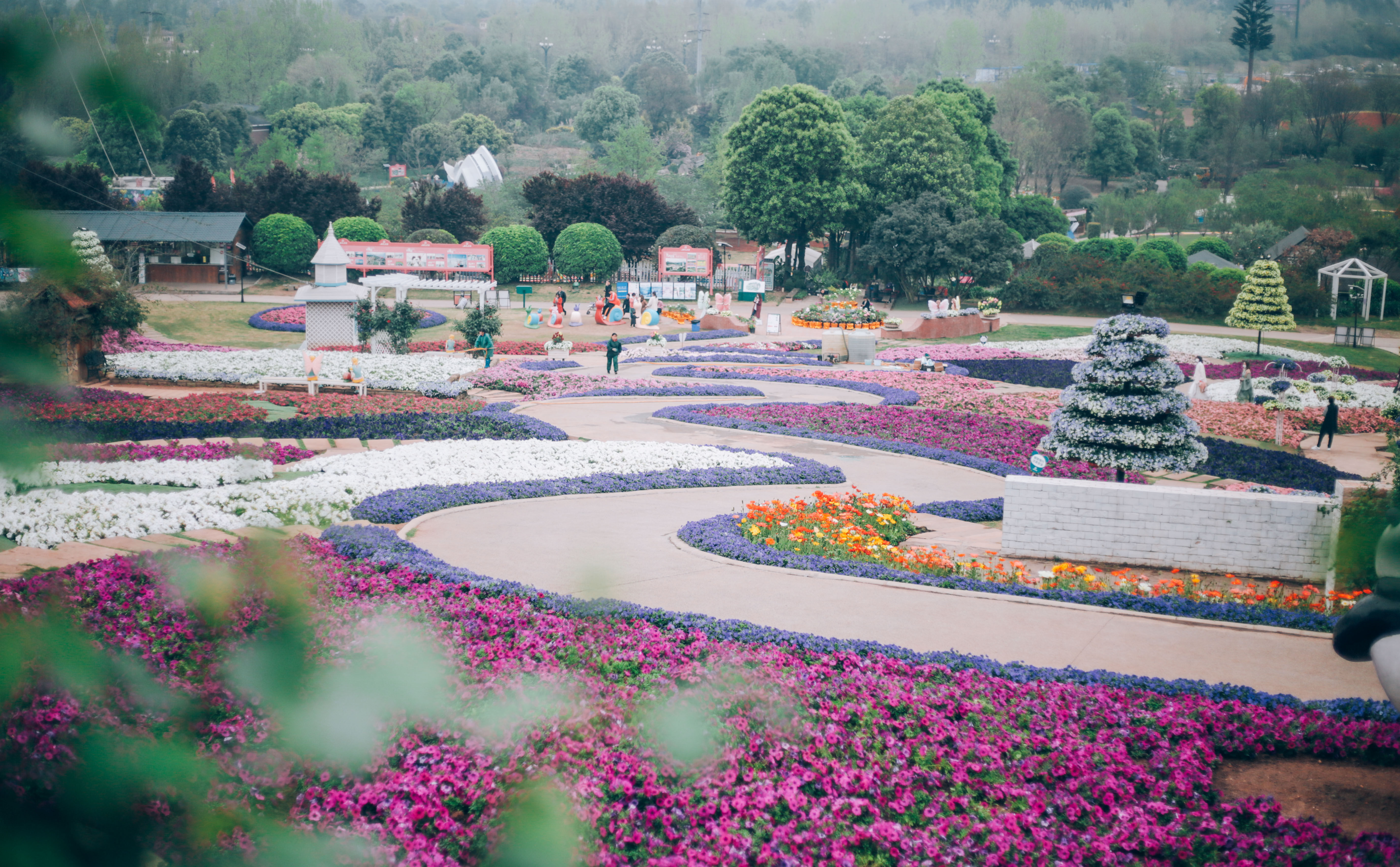 记录一下|成都,撑肚!成都的旅途中,少不了美食的“浓墨重彩”
