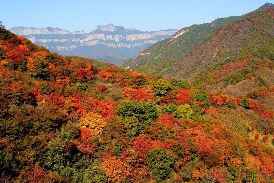 空中画廊|万山红遍！河北12个绝美秋景，邯郸的是这里！