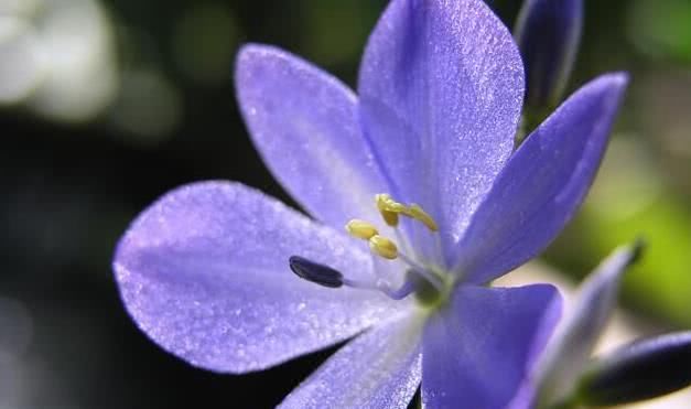 逼人|7月下旬开始财气逼人,事业红火,人生大放光彩的三大生肖