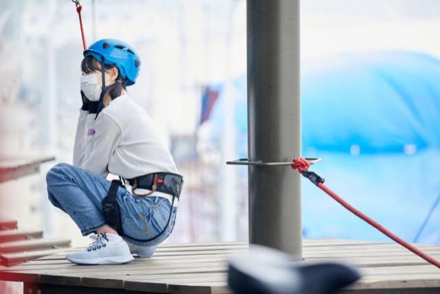 蔡徐坤|郑爽、蔡徐坤、杨洋、Angelababy、周震南