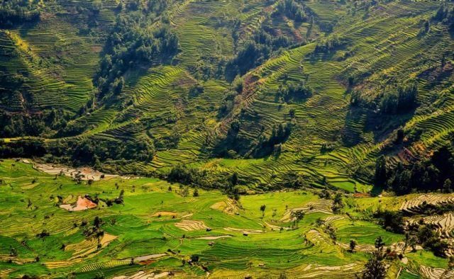 生长|云之南，一个生生不息、万物生长的地方