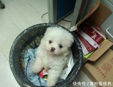 个性|妹子，你穿的裙子也太个性了吧，怎么全是气球啊