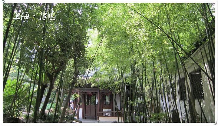  留言|留言有礼 | 扒一扒《乘风破浪的姐姐》里那些“作”出花样儿的上海姐姐~