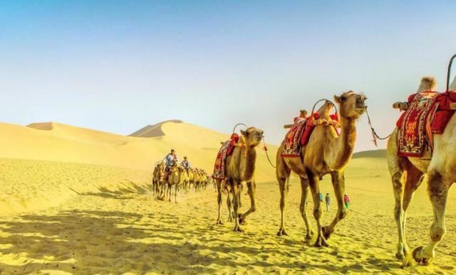  旅游|我国国宝级景区，每年耗资上亿为它“续命”，如今成旅游打卡胜地