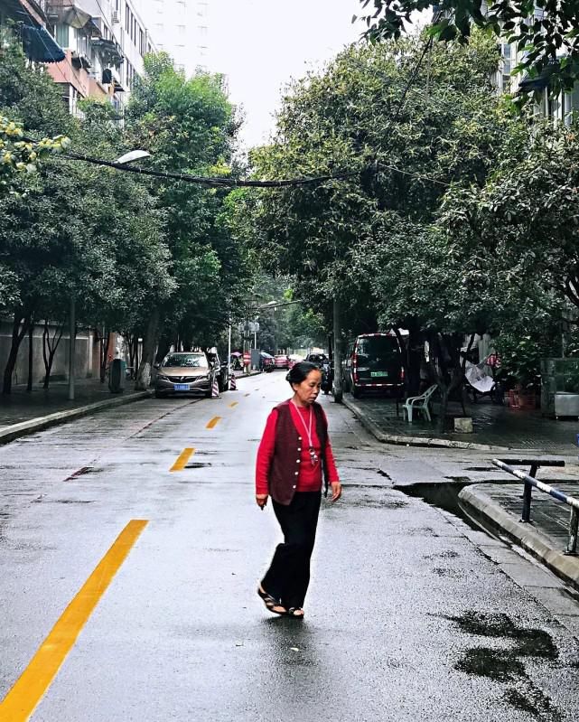  巷里|桂花巷里砍光桂花，这得和满街居民多大仇恨？