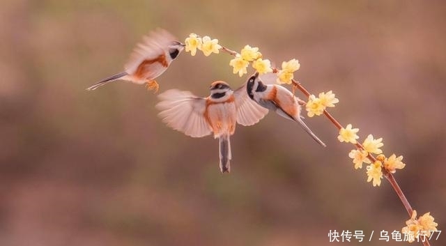 身边|有一种深爱,不在身边,却在心间