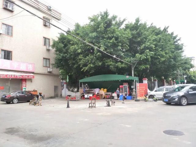  市养犬管理|视频疯传！88岁老人被狗绳绊倒不幸身亡，牵狗女子逃离...