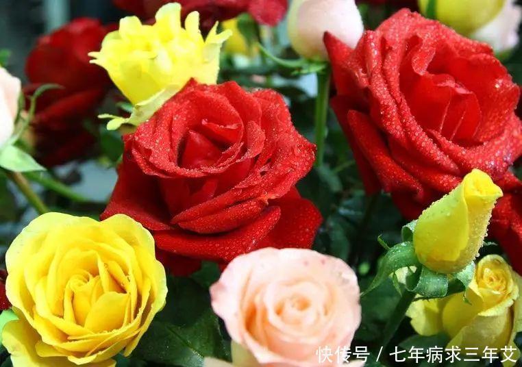 爱情|八月上旬，四大星座，桃花红艳艳，喜遇良缘，牵手甜蜜爱情