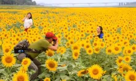  一幅|河南三门峡：山翠水秀 像一幅情醉西楼的画卷