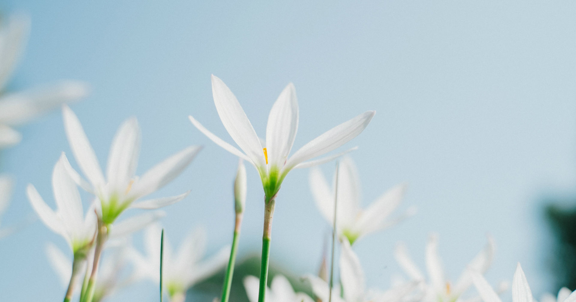  重修旧好|在9月内，重修旧好，念念不忘的前任旧爱，破镜重圆的四大星座
