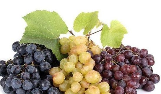  养肝|养肝季，6种食物是养肝“猛料”，你却一直不知道