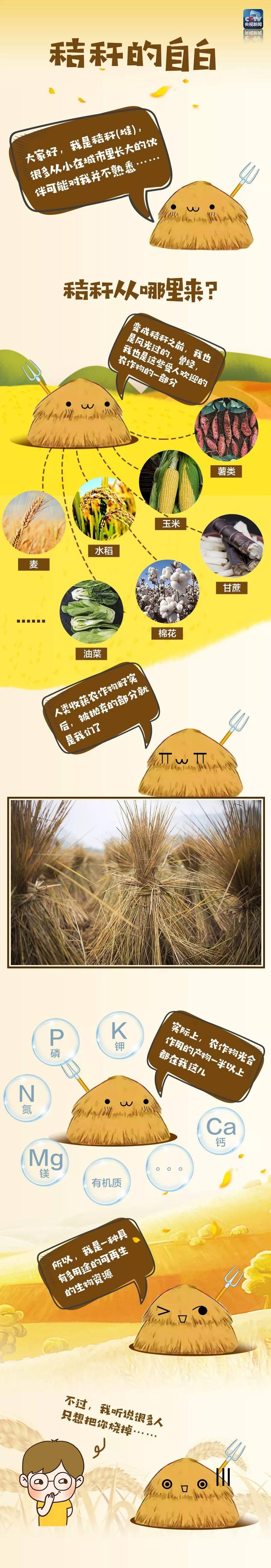 误会|“我不是废物！”对于人们的误会，秸秆有话要说