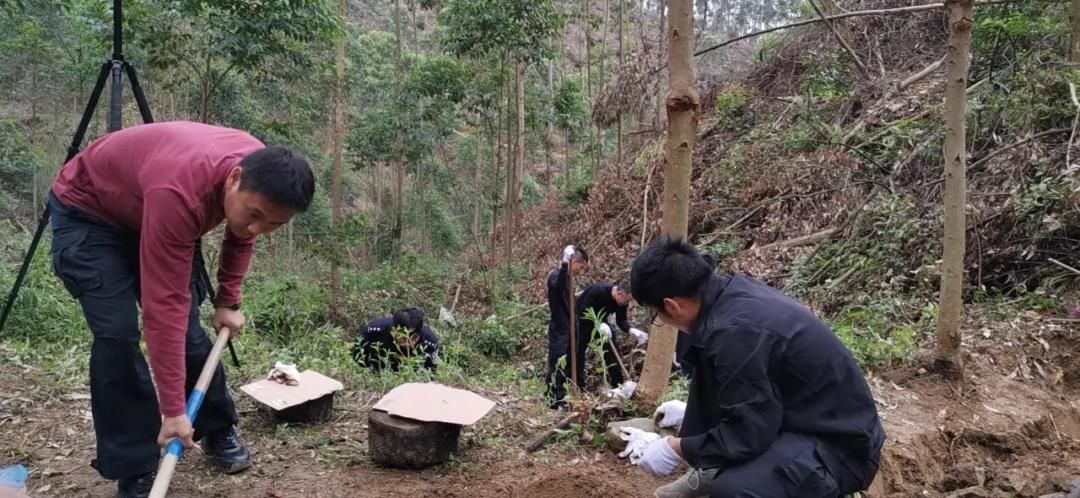  连环|广西17年前连环杀人案告破 犯人供述谋财杀人全过程