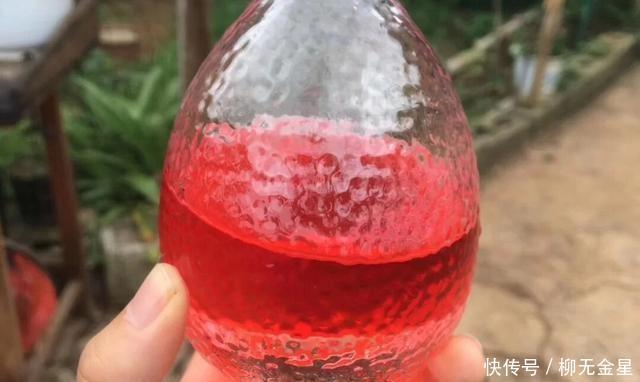 夏天|在夏天,有必要自制来解暑,高颜值杨梅是解暑的好选择,当季是有