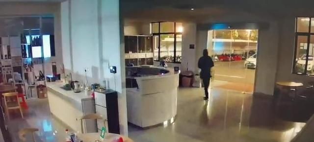  薛某|男子潜入宠物店偷走16只名贵小猫，3只小猫因眼睛受伤化脓死亡