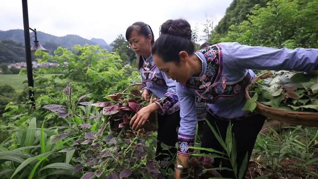 六月|“六月六”，黔南这些地方好热闹