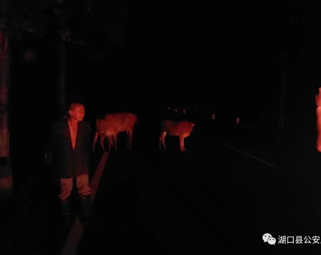  男子|湖口一男子交往“女友”，结果被骗16万！嫌疑人被刑拘！