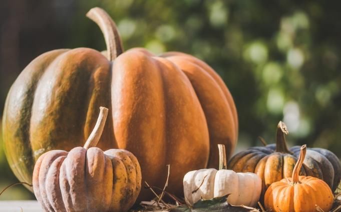 南瓜|便宜又常见的南瓜竟然有这么多好处，以前真是小看它了！