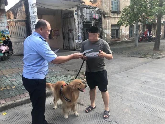 当班|今天我当班丨文明养犬，你是一名合格的“铲屎官”吗？