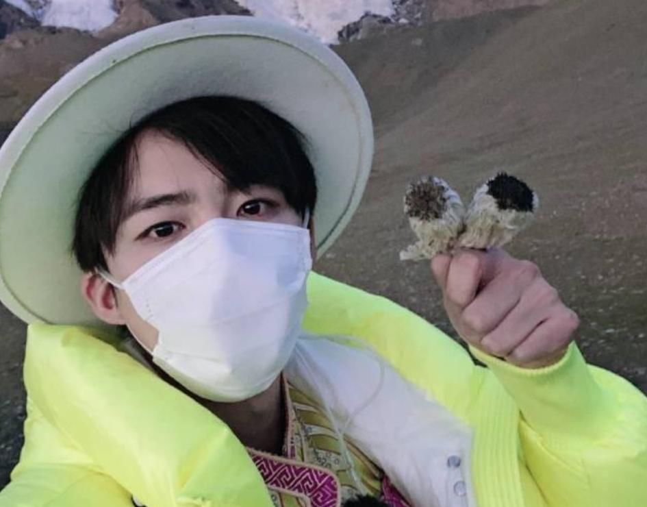  植物学家|刘宇宁就摘雪莲一事道歉，澄清系节目组道具，植物学家打脸：不可能是人造的