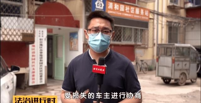  轿车|北京：小区突然刮大风，大树砸坏5辆轿车