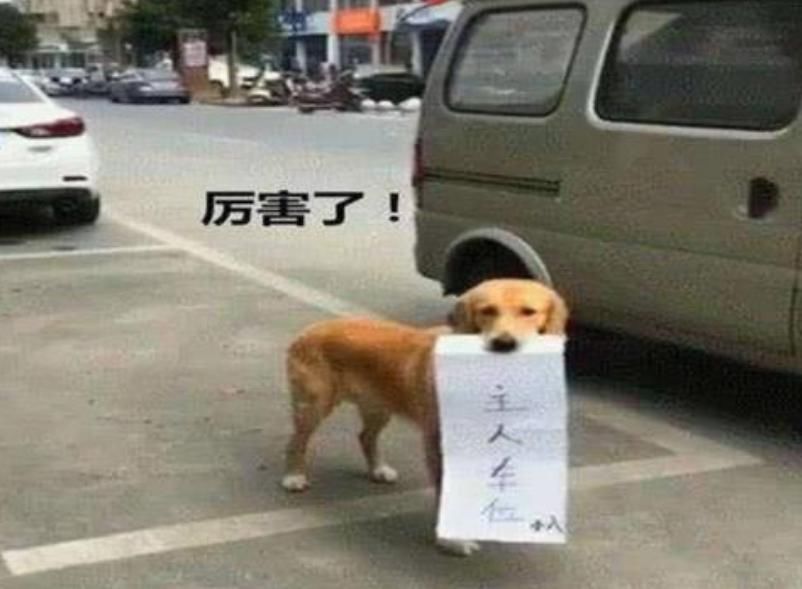  私人|保时捷霸占私人车位，女司机叫嚣“动一下试试”，业主：别后悔