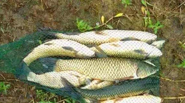 远投|滑漂钓法钓组搭配方法，夏季带漂远投钓大鱼，野钓最实用钓法！