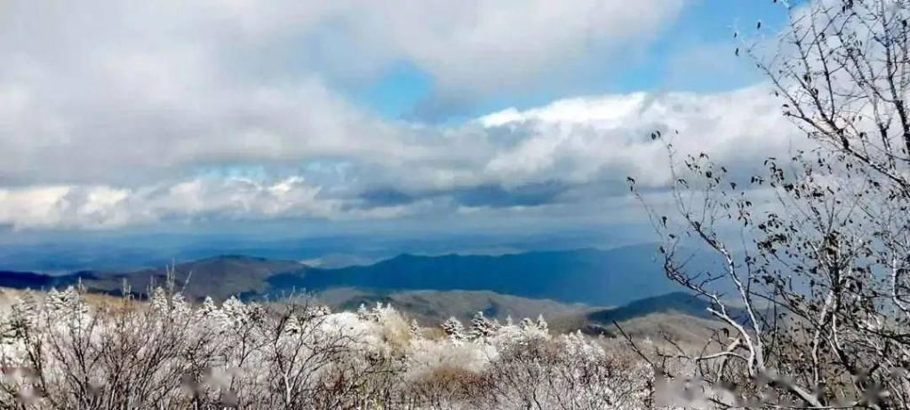 下雪|下雪了！多地解锁雪?景?模?式?广东人：我就看看