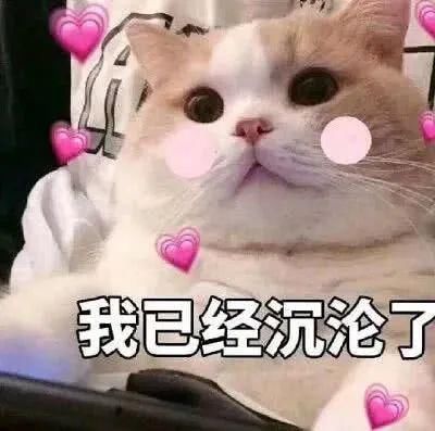 满屏|满屏都是行走的荷尔蒙，这群热血少年我太可了