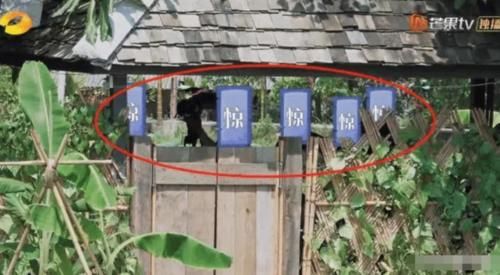  出镜|同样是导演组，为啥《向往》被打码，《跑男》却频频出镜？真正原因太现实！